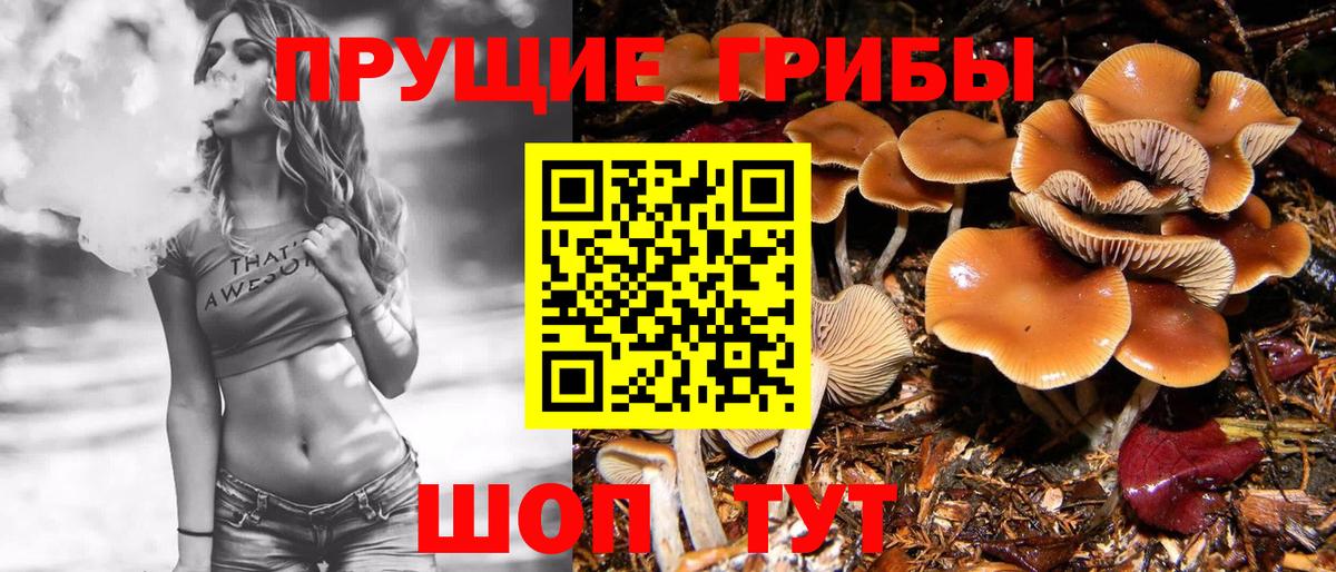 Псилоцибиновые грибы Psilocybine cubensis Магнитогорск